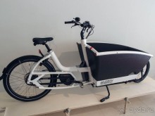 Гент I Великолепный