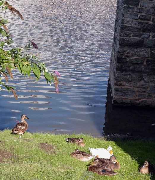 Гент I Великолепный