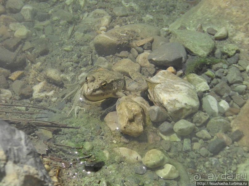 Как мы попали на Ликийскую тропу
