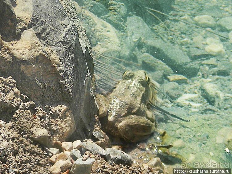 Как мы попали на Ликийскую тропу