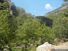 Как мы попали на Ликийскую тропу