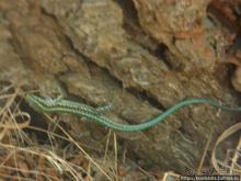 Как мы попали на Ликийскую тропу