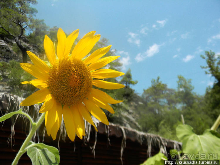 Как мы попали на Ликийскую тропу