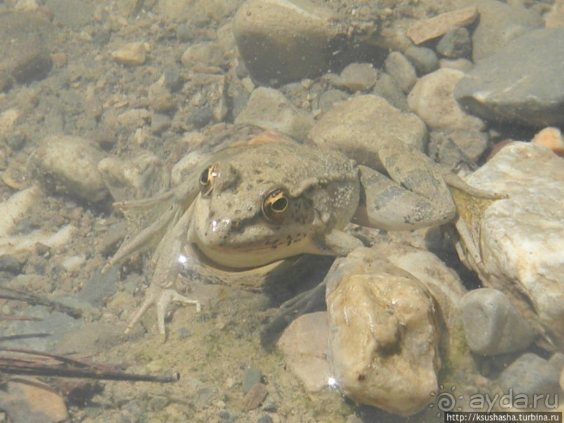Как мы попали на Ликийскую тропу