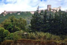 Обидуш (ч.2) Маленький и многогранный