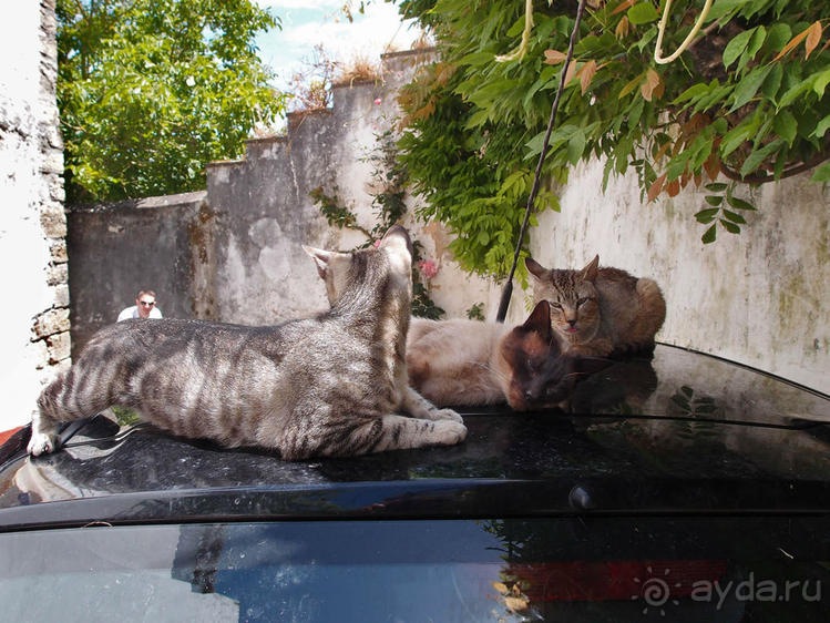 Обидуш (ч.2) Маленький и многогранный