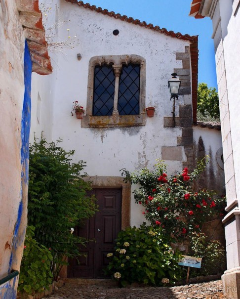 Обидуш (ч.2) Маленький и многогранный