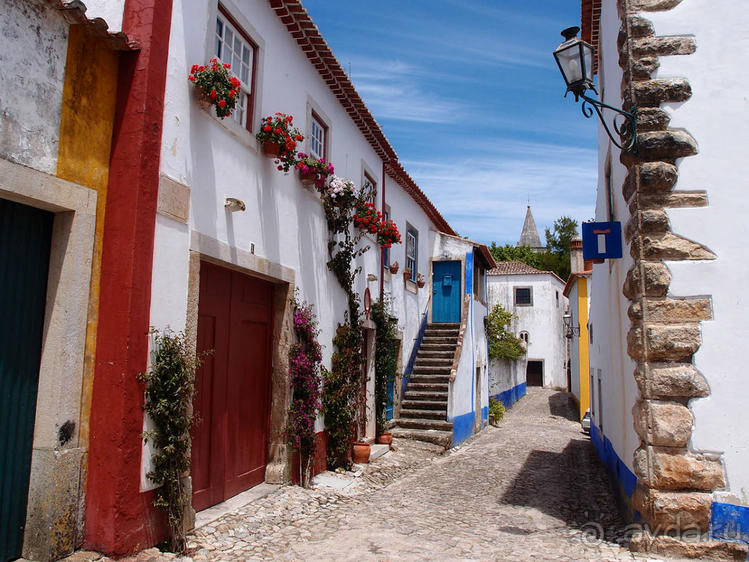 фото Обидуша