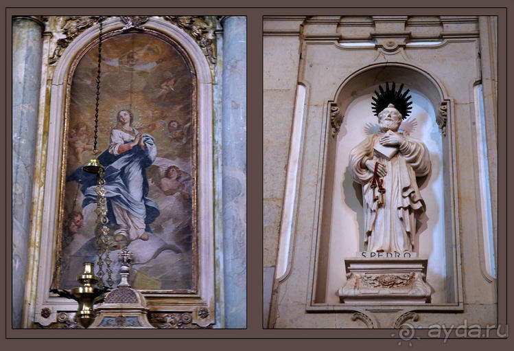 фото Обидуша