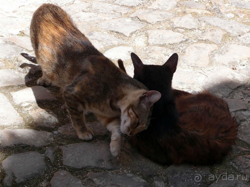 Обидуш (ч.2) Маленький и многогранный