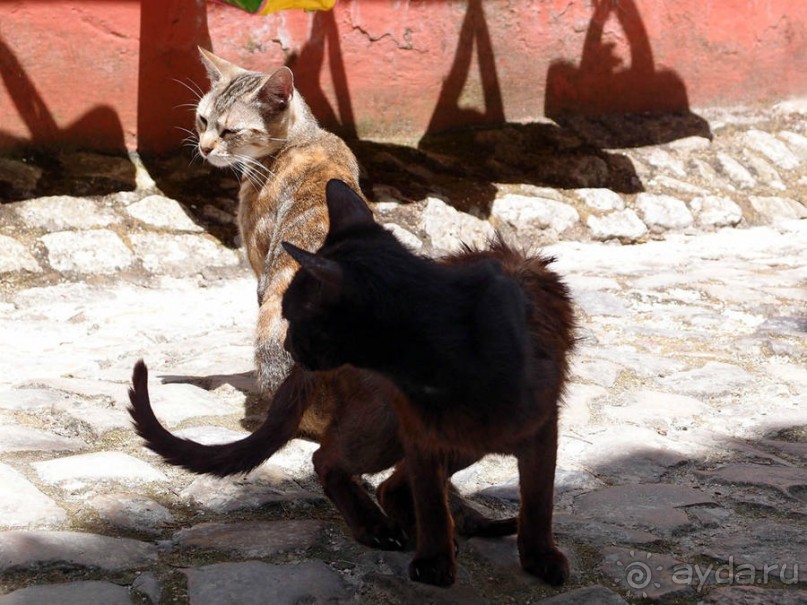 Обидуш (ч.2) Маленький и многогранный