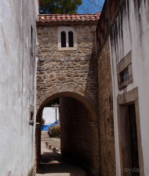 фото Обидуша