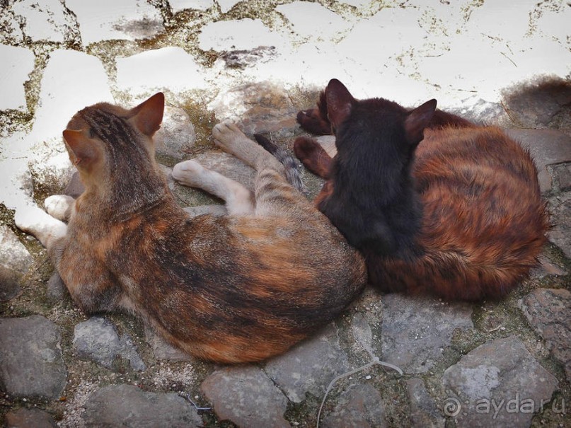 Обидуш (ч.2) Маленький и многогранный