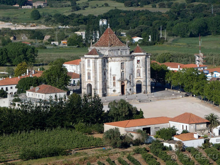 фото Обидуша