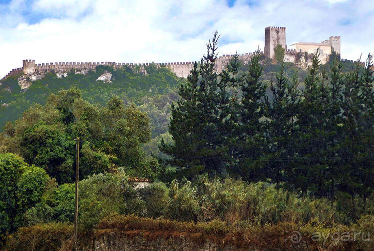 фото Обидуша