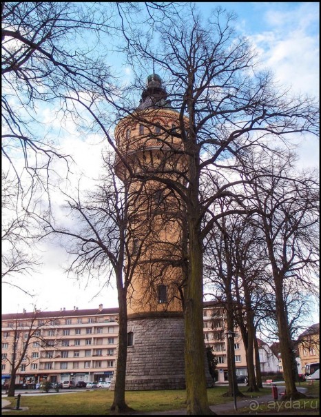 Селеста (ч.1) Мал золотник, да дорог