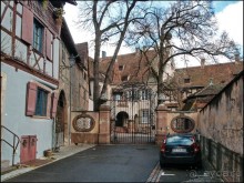 Селеста (ч.1) Мал золотник, да дорог