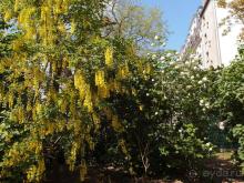 Альбом отзыва "Монмартр с третьей попытки"