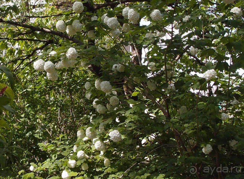 Монмартр с третьей попытки