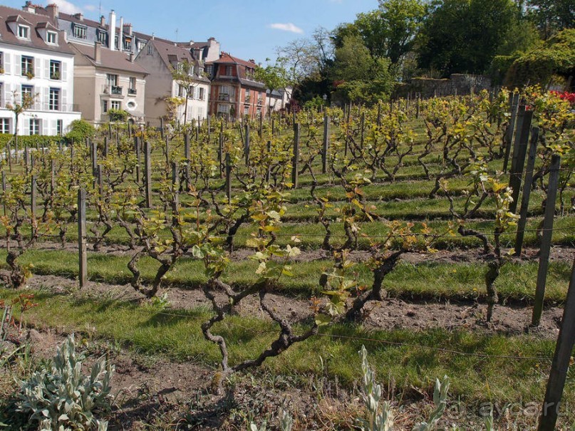 Монмартр с третьей попытки