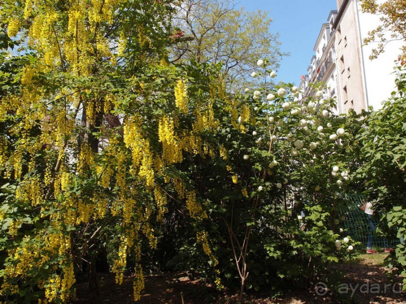 Монмартр с третьей попытки