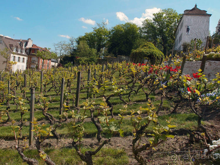 Монмартр с третьей попытки