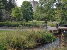 Камень Красноречия