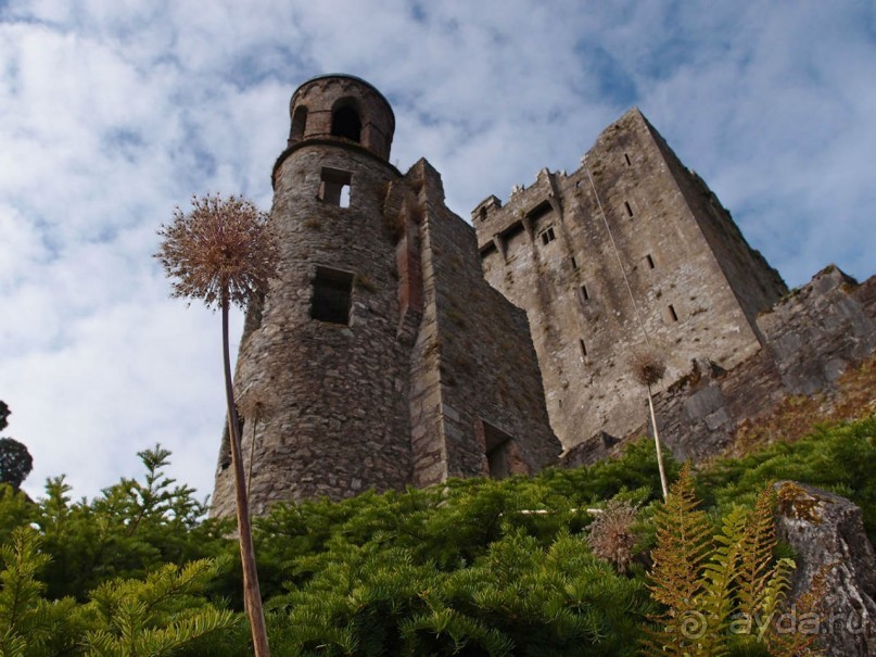 Камень Красноречия