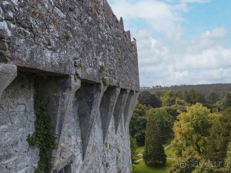 Альбом отзыва "Камень Красноречия"