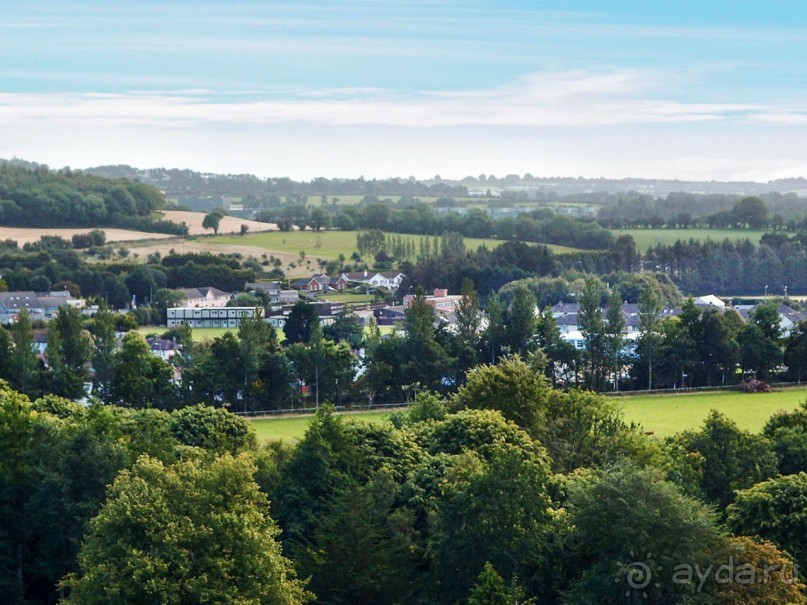 Альбом отзыва "Камень Красноречия"