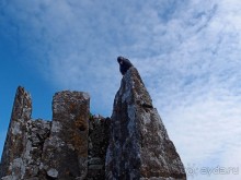 Камень Красноречия