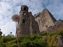 Альбом отзыва "Камень Красноречия"