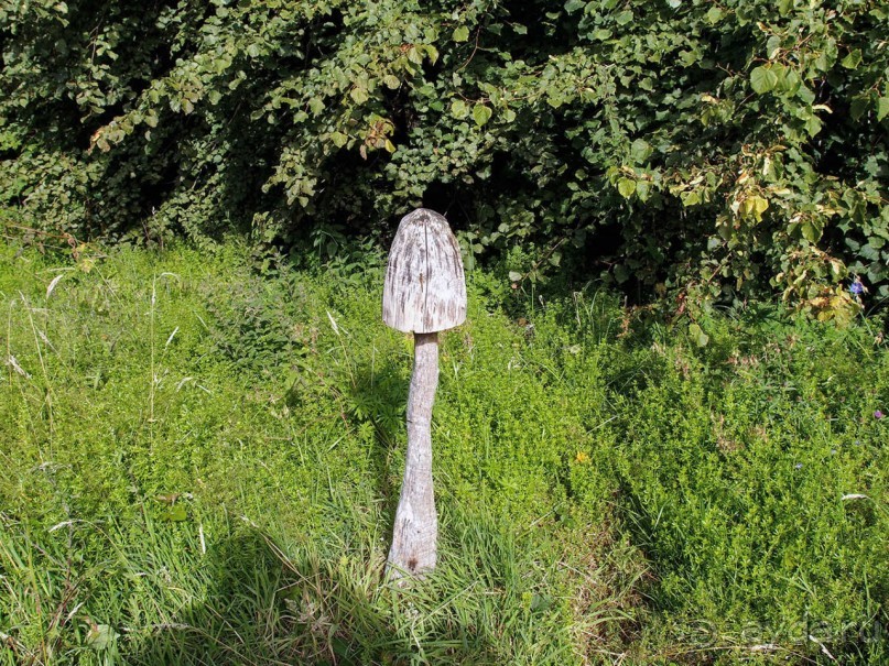 Камень Красноречия