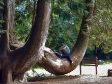 Камень Красноречия