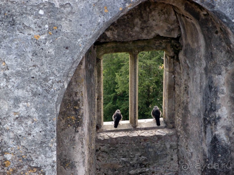 Альбом отзыва "Камень Красноречия"