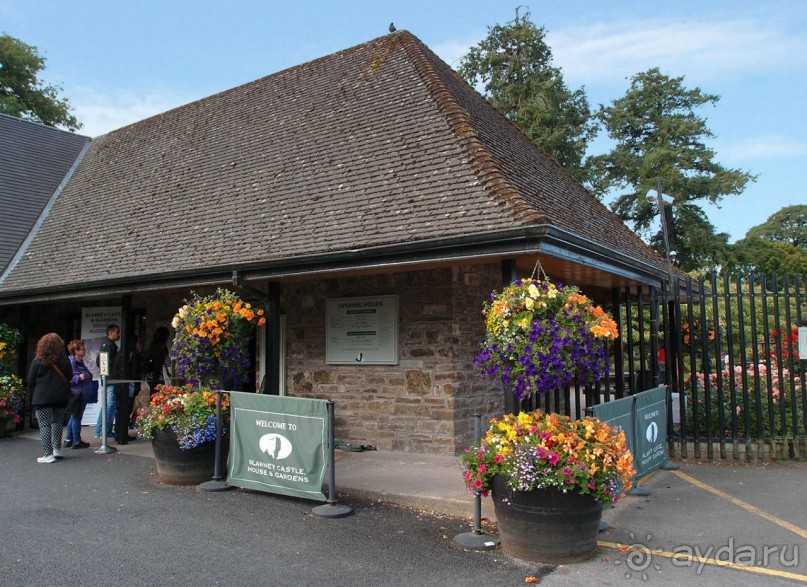 Альбом отзыва "Камень Красноречия"