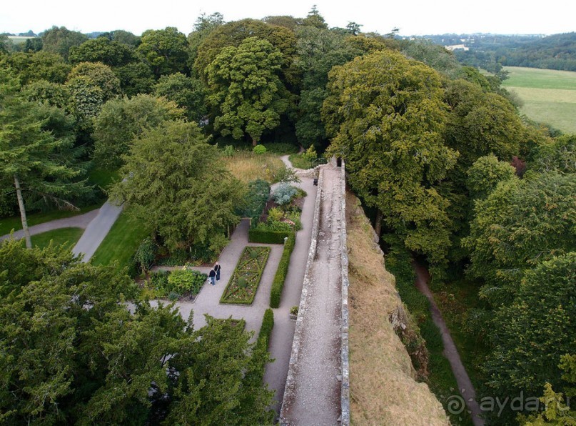 Альбом отзыва "Камень Красноречия"