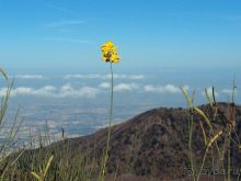 Время вулканов 