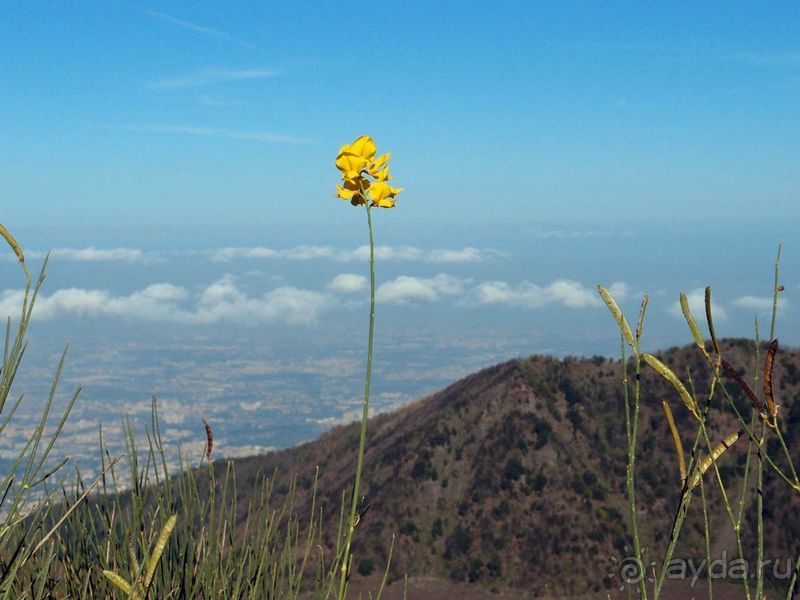 Время вулканов 