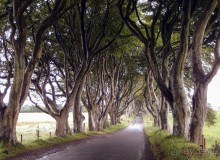 Темная аллея