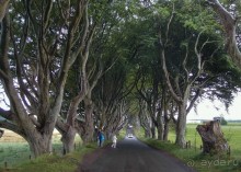 Темная аллея