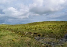 Твои столпы — крутых отрогов склоны