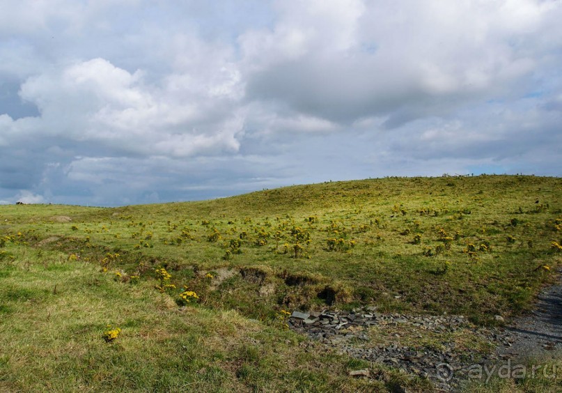 Твои столпы — крутых отрогов склоны