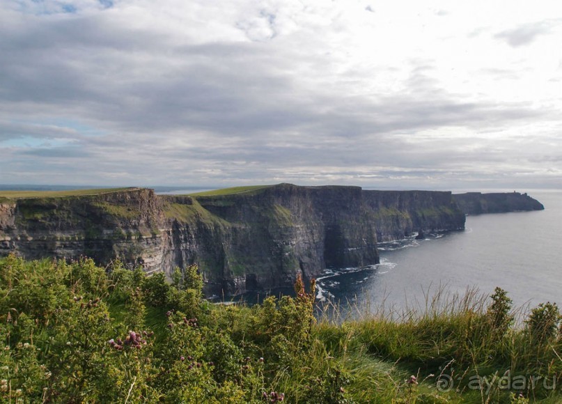 Твои столпы — крутых отрогов склоны