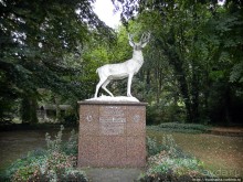 Здравствуй, аист-Марабу