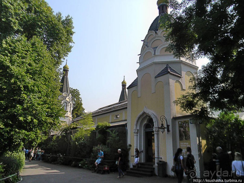 Здравствуй, аист-Марабу