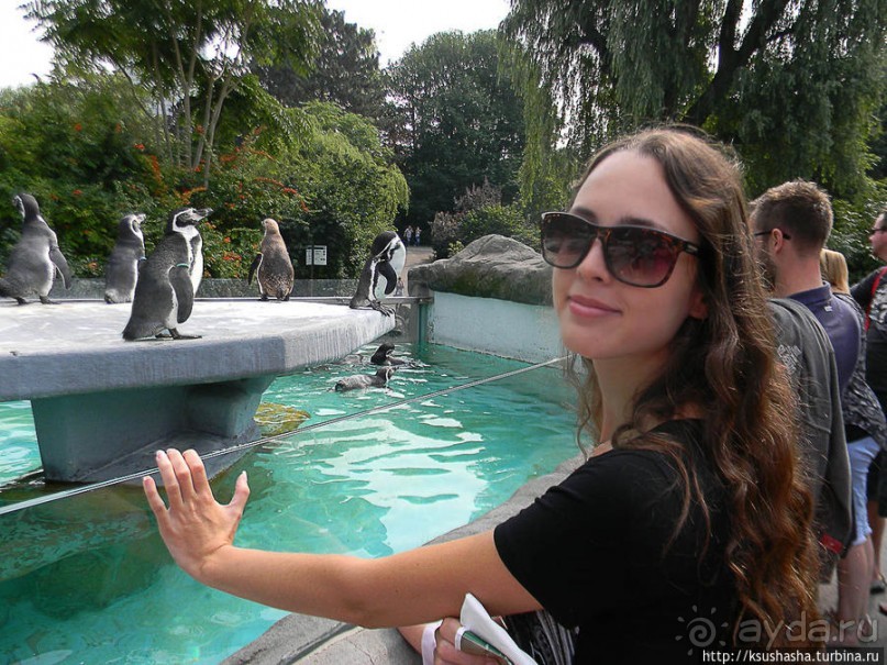 Здравствуй, аист-Марабу