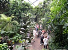 Здравствуй, аист-Марабу