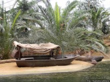 Здравствуй, аист-Марабу