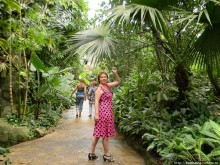 Здравствуй, аист-Марабу